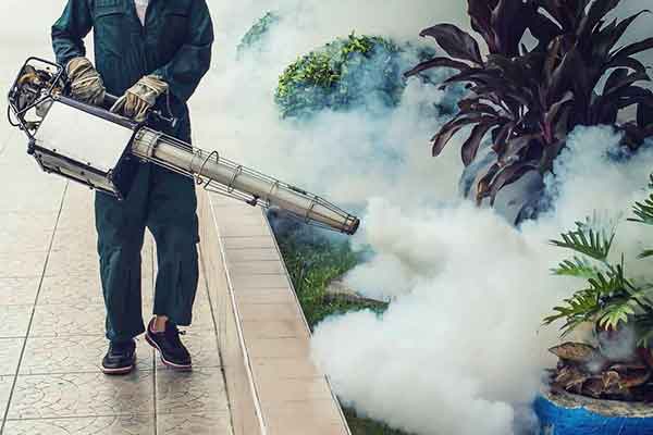 Fumigation & Pest Control Services